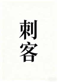刺客 小说